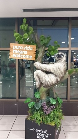 Pura vida