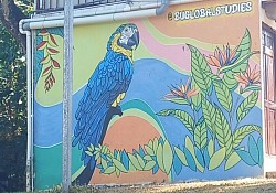 Fresque